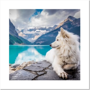 White Wolf Relaxing By A Lake Posters and Art